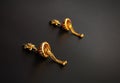 Indian Traditional Gold Earrings