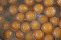 Indian Sweets Gulab Jamun