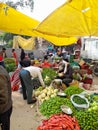 INDIAN TRADITIONAL VEGETABLE MARKET INDIA RAJASTHAN JAIPUR SANGANER