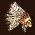 Indian Tribal Headdress With Skull
