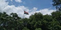 Indian tricolor flag with trees Royalty Free Stock Photo