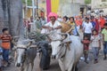 Indian turban guy riding bullock cart