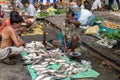An Indian unidentified fisherman selling fresh fish at the street next to the road at the local market in Kolkata, India on