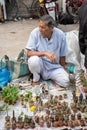 An Indian unidentified old man was selling nursery plants at Galiff Street pet market, Kolkata, India on December 2021