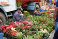 An Indian unidentified seller was selling nursery plants at Galiff Street pet market, Kolkata, India on December 2021