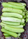 Indian vegetable-bottle gourd