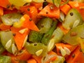 Indian vegetable medley Royalty Free Stock Photo