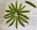 Indian vegetables flat green beans in star shaped decorated