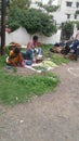 Indian vegetables sellee in open market