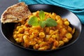 Indian Vegetarian Curry Chana Masala Royalty Free Stock Photo