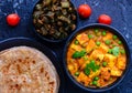 Indian vegetarian meal - North Indian main course Royalty Free Stock Photo