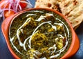 Indian vegetarian meal - palak paneer and roti