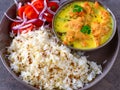 Indian vegetarian meal - punjabi kadi and rice Royalty Free Stock Photo
