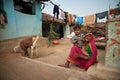 Indian very old grandma Royalty Free Stock Photo