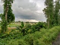 Indian village beautiful scenery with green field and cloudy sky Royalty Free Stock Photo