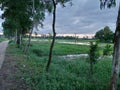 Indian village beautiful sun set scenery in rainy season Royalty Free Stock Photo