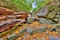Indian Village Canyon in Fall, Columbus, Ohio Royalty Free Stock Photo