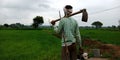 An indian village farmer standing around agriculture green field