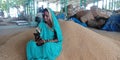 An indian village farmer woman looking movie on mobile phone at agriculture market Royalty Free Stock Photo