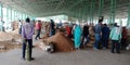 Indian village farmers crowd around agriculture wholesale store