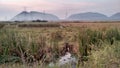 Indian Village farmland greenary with clear sky and mountains seen faraway