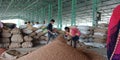 indian village labour working on wheat stock around agriculture produce market