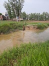 Indian village ponds` image and  boy is having bath Royalty Free Stock Photo