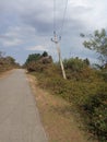 Indian village road & nature picture Royalty Free Stock Photo