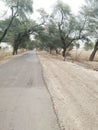 Indian village road in Rajasthan Royalty Free Stock Photo