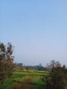 Indian village uttar Pradesh field