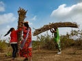 Indian village women holded wood bundle on head at forest field in india January 2020 Royalty Free Stock Photo