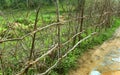 Indian village wood branches fence.