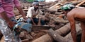 Indian village wooden worker cutting logs at sawmill Royalty Free Stock Photo