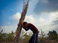 An Indian village woodworker boy holded wood bundle during transportation at beautiful blue sky background in india January 2020