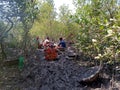 indian village workers resting time.jpg