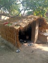 Indian villgers picture a hut Royalty Free Stock Photo