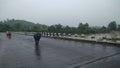 Indian water buffalo on a bridge during monsoon