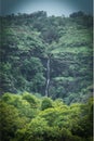 Indian waterfall in mountain with lots of greenary around the waterfall