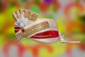 Indian Wedding crown photo .jpg