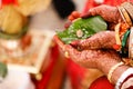 Indian wedding photography ,groom and bride hands
