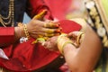 Indian wedding photography, Haldi ceremony groom hands