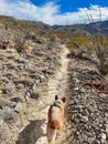 Indian Wells Trail in Alamogordo, New Mexico