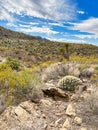 Indian Wells Trail in Alamogordo, New Mexico