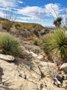 Indian Wells Trail in Alamogordo, New Mexico