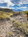 Indian Wells Trail in Alamogordo, New Mexico