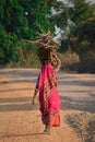 Indian woman carrying wood on head at the road.