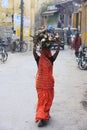 Indian woman carrying wood on her head, Bundi, India