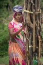 Indian woman collecting wood