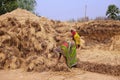 Indian woman farmers stacking hays