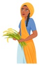 Indian woman hold rice crops. Female farmer